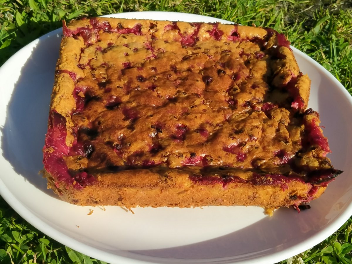 Clafoutis aux groseilles sans gluten