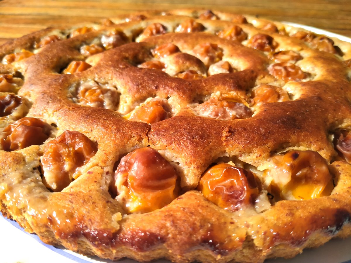 Fondant aux mirabelles et à la rhubarbe