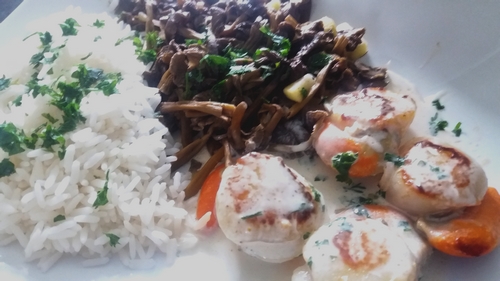Saint Jacques aux chanterelles