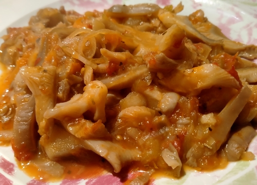 Pleurotes à la Provençale
