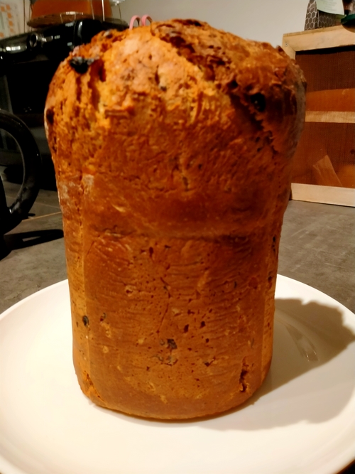 Panettone