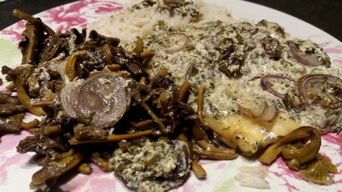 Filets de julienne aux fines herbes