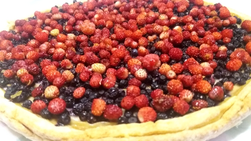 Moussièroise aux myrtilles et fraises des bois